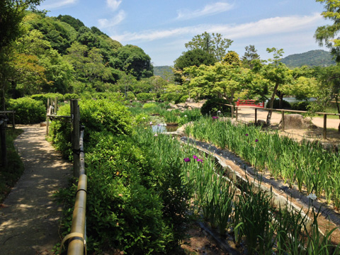 東行池